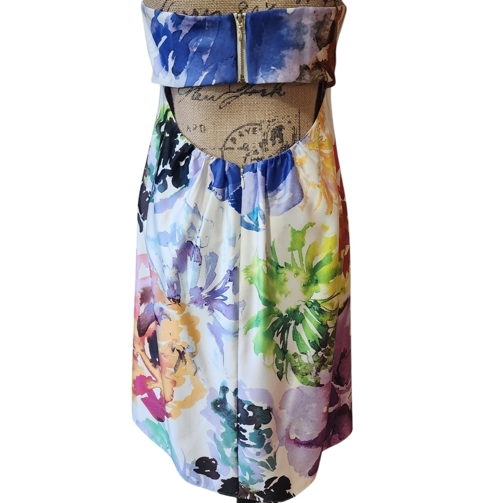 Nicole Miller Sleeveless Mini Lined Floral Watercolor Dress - 10 - Picture 6 of 13